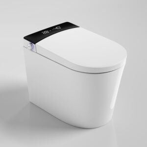 smart toilet